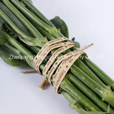 Factory supplier vineyard kraft paper twist ties/garden twist tie